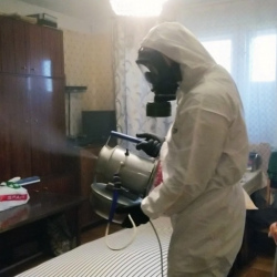Дезинфекция от клопов в Камышине